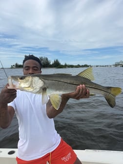Fishing in Ruskin, Florida
