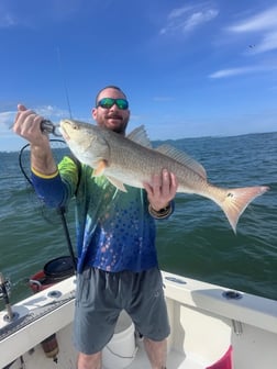 Fishing in Bradenton, Florida