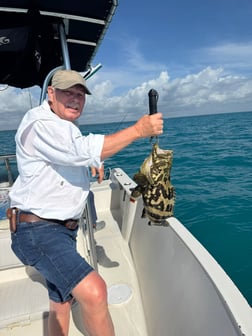 Mangrove Snapper, Yellowtail Snapper Fishing in Key Largo, Florida