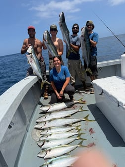 Fishing in Marina del Rey, California