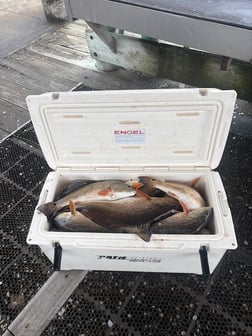 Fishing in Lake Charles, Louisiana