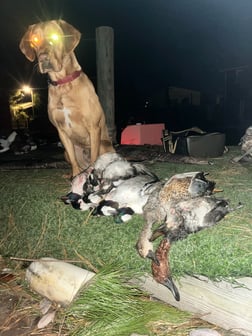 Hunting in Wanchese, North Carolina