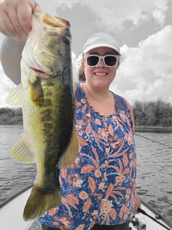Fishing in Fort Lauderdale, Florida