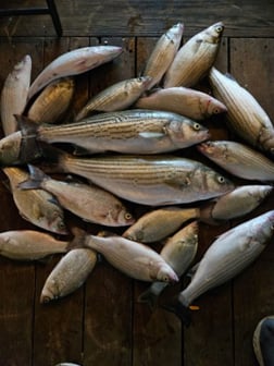 Fishing in Kingston, Oklahoma