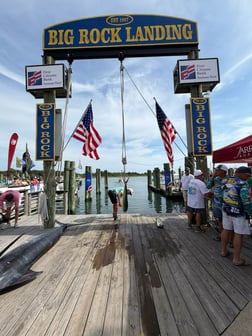 Fishing in Morehead City, North Carolina