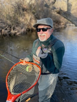 Fishing in Hume, California
