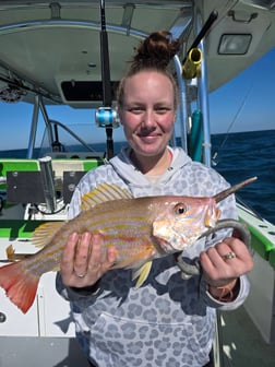Fishing in Port Orange, Florida