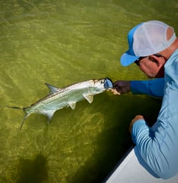 Fishing in Tavernier, Florida