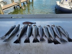 Fishing in Gulf Shores, Alabama