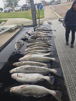 Fishing in Galveston, Texas