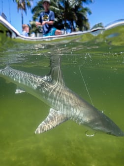 Fishing in West Palm Beach, Florida