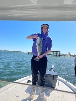 Fishing in Orange Beach, Alabama