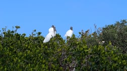 Fishing in Stuart, Florida