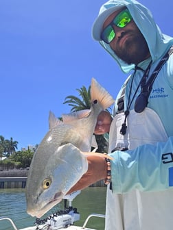 Fishing in Sarasota, Florida