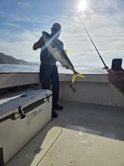 Fishing in Dana Point, California