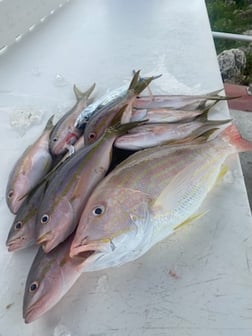 Fishing in Key West, Florida
