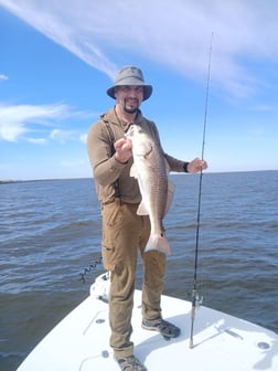 Fishing in Lafitte, Louisiana