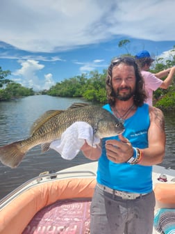 Fishing in Fort Myers Beach, Florida