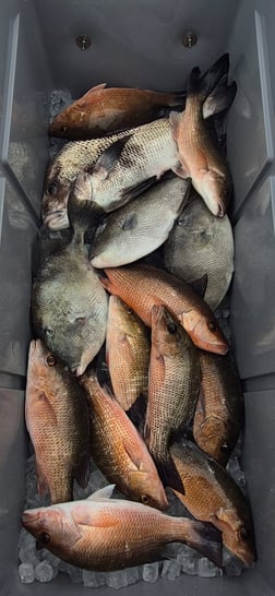 Fishing in Vero Beach, Florida