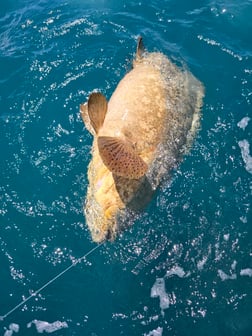 Fishing in Port Orange, Florida