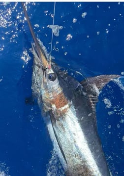 Fishing in Kaiminani, Hawaii