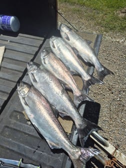 Fishing in Kalama, Washington