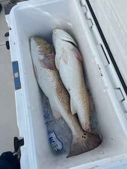 Fishing in Gautier, Mississippi