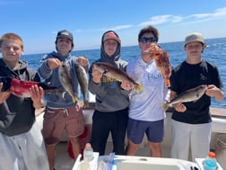 Fishing in Long Beach, California