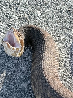 Fishing in Weston, Florida