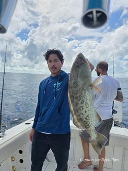 Fishing in St. Petersburg, Florida
