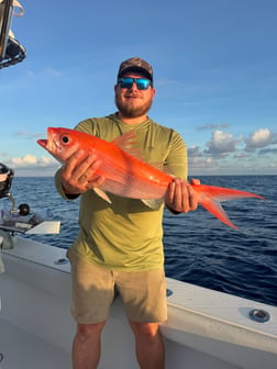 Fishing in Placida, Florida