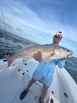 Fishing in Pensacola, Florida