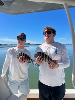 Fishing in Indian Shores, Florida