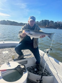 Fishing in Cumming, Georgia