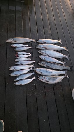 Fishing in Newaygo, Michigan