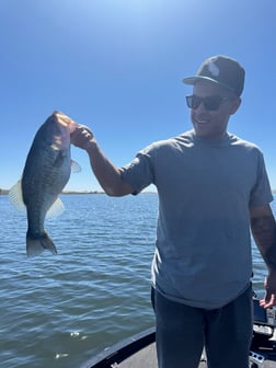 Fishing in Los Angeles, California