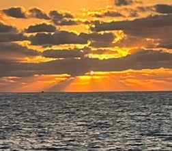 Fishing in Tavernier, Florida