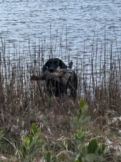 Hunting in Port O'Connor, Texas