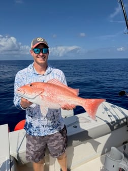 Fishing in Sarasota, Florida