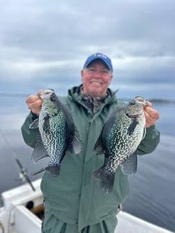 Fishing in Port Orange, Florida