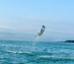 Fishing in Key West, Florida