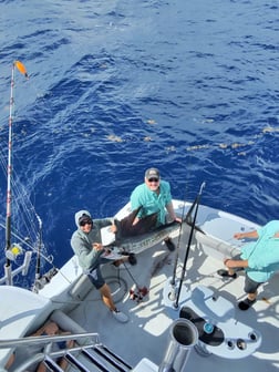 Fishing in Fort Lauderdale, Florida