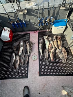 Fishing in Garibaldi, Oregon