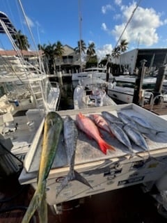 Fishing in Fort Lauderdale, Florida