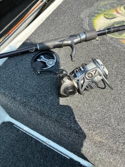 Fishing in Cape Fair, Missouri