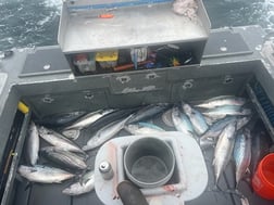 Fishing in Half Moon Bay, California