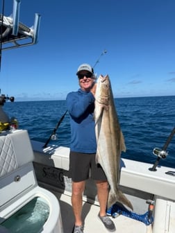 Fishing in Key West, Florida