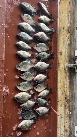 Fishing in Clewiston, Florida