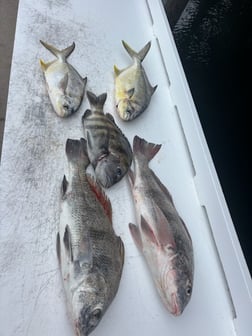 Fishing in St. Augustine, Florida