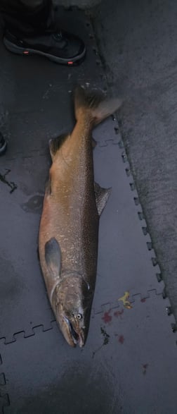Fishing in Harrietta, Michigan